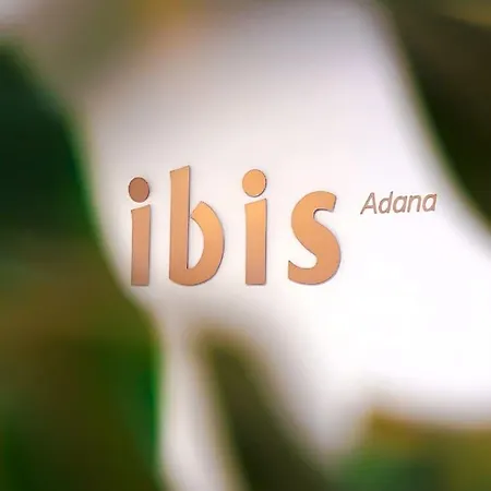 Hotel Ibis 3*