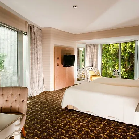 Ibis 3*