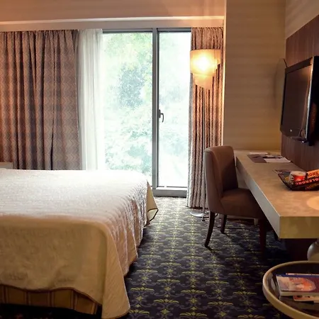 Ibis Hotel 3*