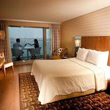 Ibis 3*